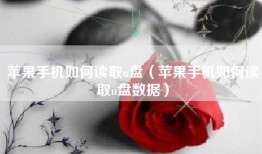 苹果手机如何读取u盘（苹果手机如何读取u盘数据）