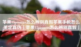 苹果15promax怎么辨别真假苹果手机怎么鉴定真伪「苹果15promax怎么辨别真假」