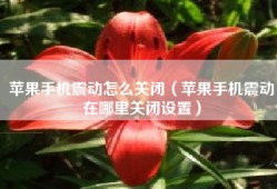 苹果手机震动怎么关闭（苹果手机震动在哪里关闭设置）