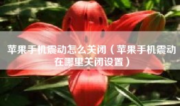 苹果手机震动怎么关闭（苹果手机震动在哪里关闭设置）