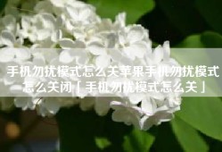 手机勿扰模式怎么关苹果手机勿扰模式怎么关闭「手机勿扰模式怎么关」