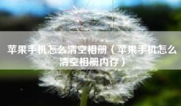 苹果手机怎么清空相册（苹果手机怎么清空相册内存）