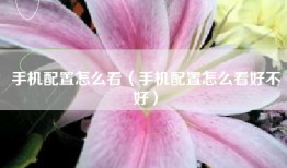 手机配置怎么看（手机配置怎么看好不好）