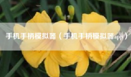 手机手柄模拟器（手机手柄模拟器app）