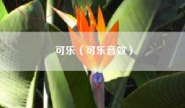可乐（可乐音效）