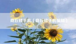 商丘修手机（商丘修手机骗局）