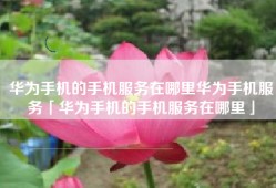 华为手机的手机服务在哪里华为手机服务「华为手机的手机服务在哪里」