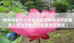 华为手机的手机服务在哪里华为手机服务「华为手机的手机服务在哪里」