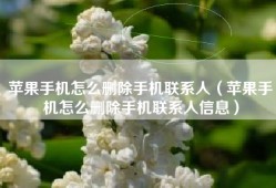 苹果手机怎么删除手机联系人（苹果手机怎么删除手机联系人信息）