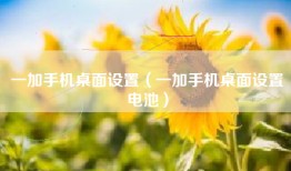 一加手机桌面设置（一加手机桌面设置电池）