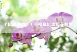 手机耳机功能（手机耳机功能在哪里）