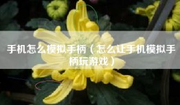 手机怎么模拟手柄（怎么让手机模拟手柄玩游戏）