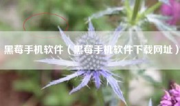 黑莓手机软件（黑莓手机软件下载网址）