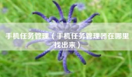 手机任务管理（手机任务管理器在哪里找出来）