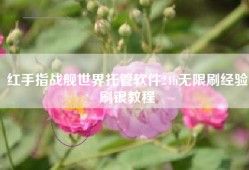 红手指战舰世界托管软件24h无限刷经验刷银教程