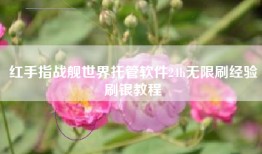 红手指战舰世界托管软件24h无限刷经验刷银教程
