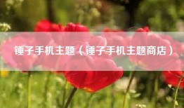 锤子手机主题（锤子手机主题商店）