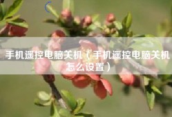 手机遥控电脑关机（手机遥控电脑关机怎么设置）