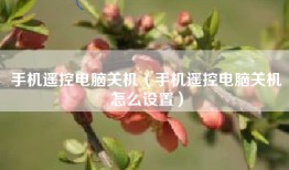 手机遥控电脑关机（手机遥控电脑关机怎么设置）