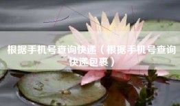根据手机号查询快递（根据手机号查询快递包裹）