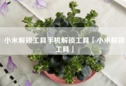 小米解锁工具手机解锁工具「小米解锁工具」