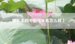 酷乐手机（酷乐手机怎么样）