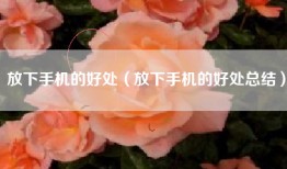 放下手机的好处（放下手机的好处总结）