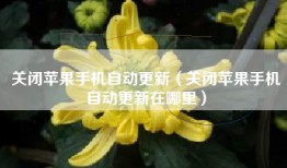 关闭苹果手机自动更新（关闭苹果手机自动更新在哪里）