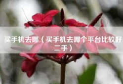 买手机去哪（买手机去哪个平台比较好二手）