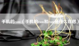手机的ram（手机的ram和rom是什么意思）