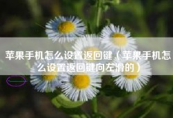苹果手机怎么设置返回键（苹果手机怎么设置返回键向左滑的）