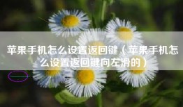苹果手机怎么设置返回键（苹果手机怎么设置返回键向左滑的）