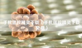手机遥控精灵下载（手机遥控精灵下载免费）