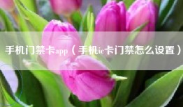 手机门禁卡app（手机ic卡门禁怎么设置）