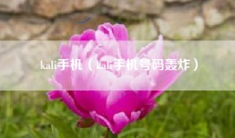 kali手机（kali手机号码轰炸）