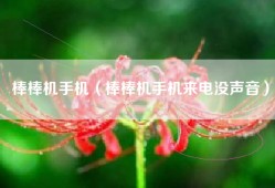 棒棒机手机（棒棒机手机来电没声音）