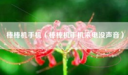 棒棒机手机（棒棒机手机来电没声音）