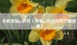 手机专业ps软件（手机ps专业软件下载免费）