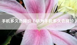 手机多久会降价（华为手机多久会降价）