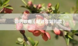 做的歌曲（超适合做的歌）