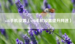 wifi手机设置（wifi手机设置提升网速）