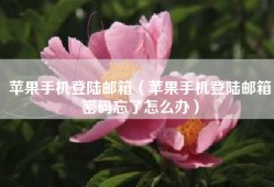 苹果手机登陆邮箱（苹果手机登陆邮箱密码忘了怎么办）