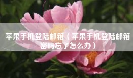 苹果手机登陆邮箱（苹果手机登陆邮箱密码忘了怎么办）