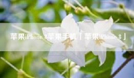 苹果iPhone 8苹果手机「苹果iPhone 8」