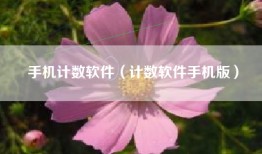 手机计数软件（计数软件手机版）