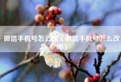 微信手机号怎么改（微信手机号怎么改绑）