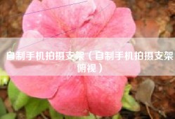 自制手机拍摄支架（自制手机拍摄支架俯视）