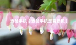 查验手机（查验手机是否新机）
