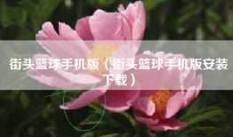 街头篮球手机版（街头篮球手机版安装下载）