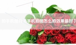 拍手机图片（手机拍图怎么拍效果最好）